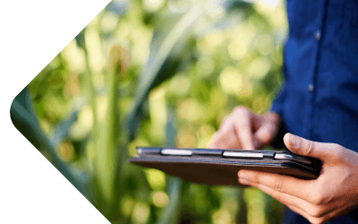 Farm Accounts: Are you making the most of your Management Information?
